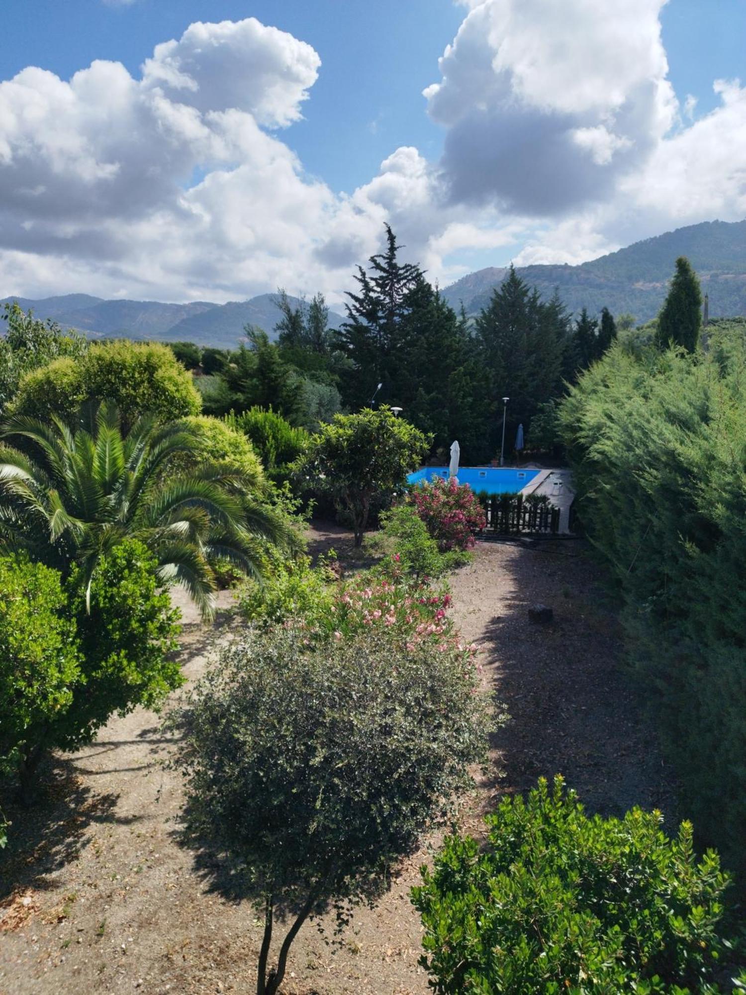 Villa Rosario Ла-Ируэла Экстерьер фото